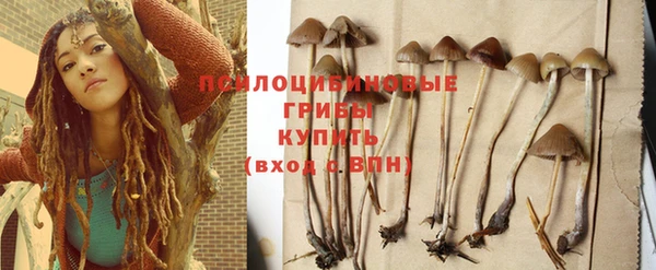 дурь Алексеевка