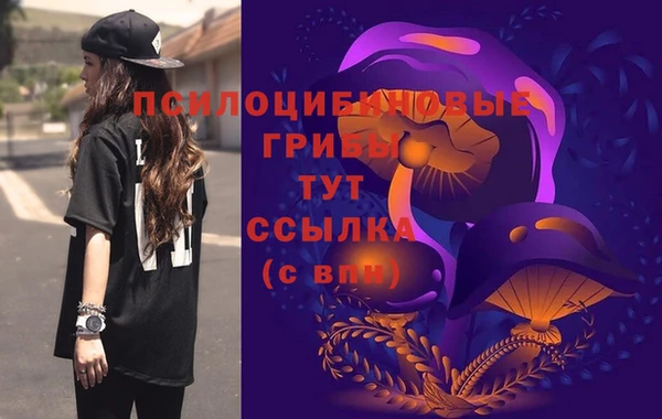 эйфоретик Пестово