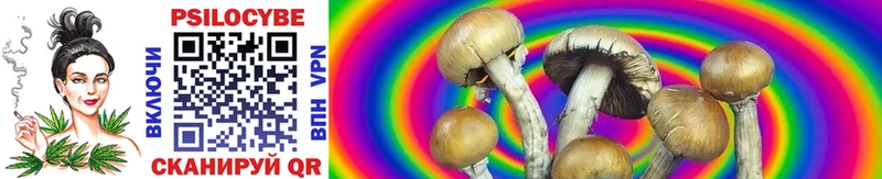 Галлюциногенные грибы GOLDEN TEACHER что такое Тихвин