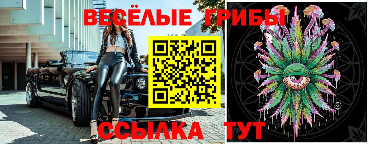 Галлюциногенные грибы мицелий  Вход с VPN  Тихвин  Псилоцибиновые грибы Psilocybe 