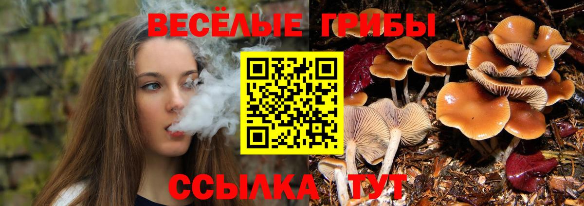 Галлюциногенные грибы GOLDEN TEACHER Тихвин